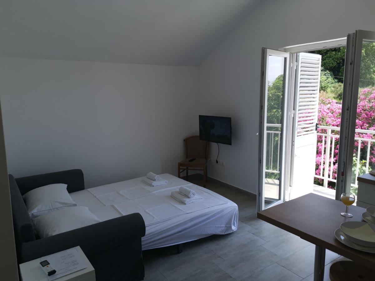 Apartments Zina ロクヴァ・ロゴズニツァ エクステリア 写真
