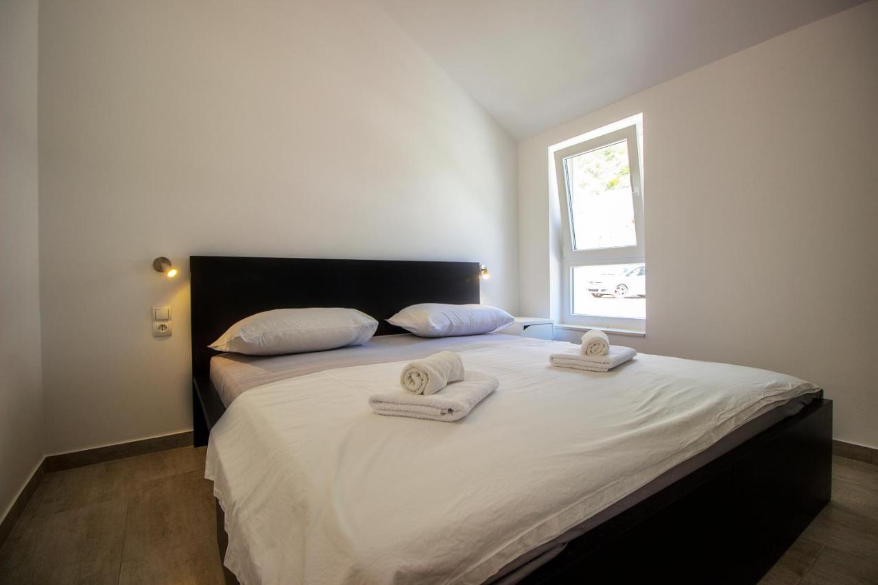 Apartments Zina ロクヴァ・ロゴズニツァ エクステリア 写真